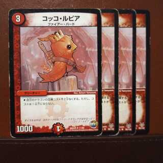 セット割引　コッコ・ルピア