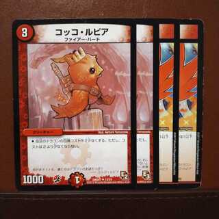 セット割引　コッコ・ルピア