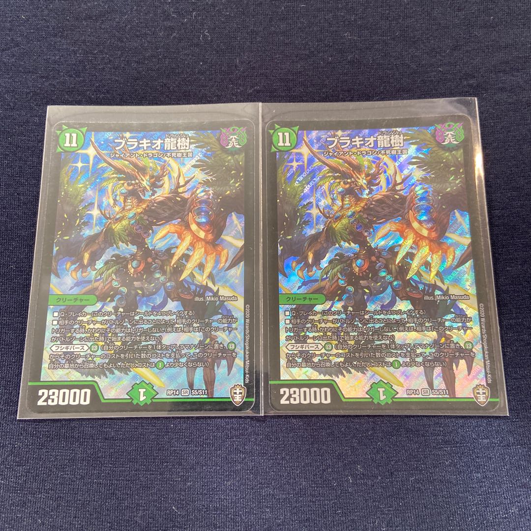 ブラキオ龍樹×2枚