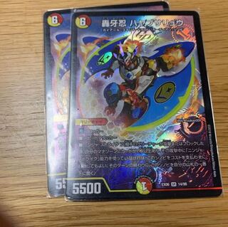 ハヤブサリュウ2枚セット ②