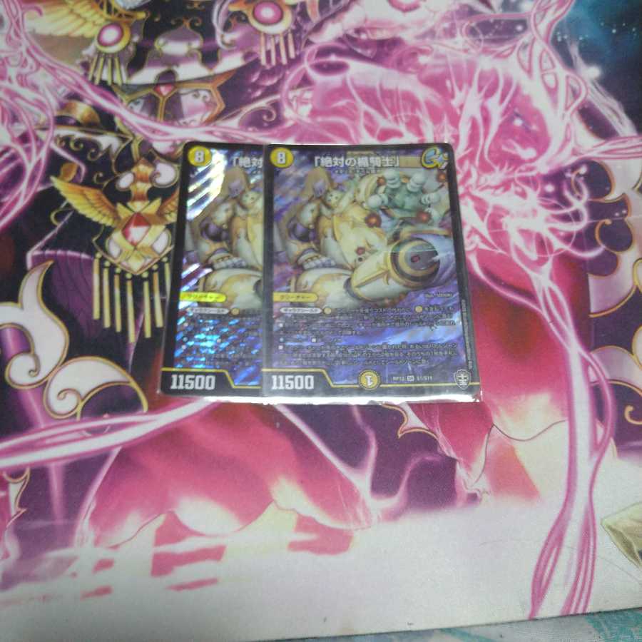 「絶対の楯騎士」