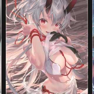 FGO/Fate 巴御前 水着ver スリーブ