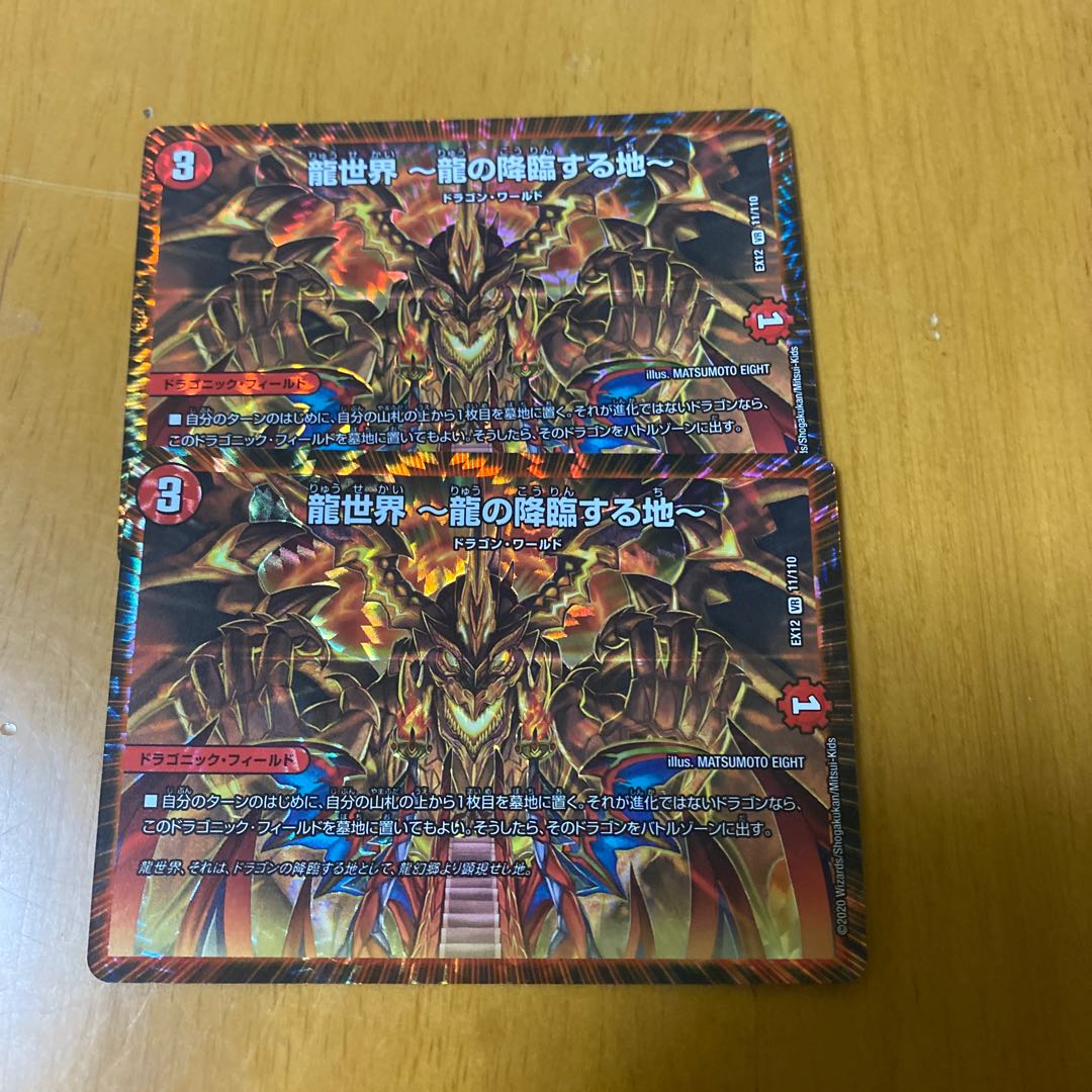 龍世界 -龍の降臨する地-2枚セット