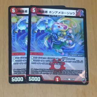 雨跳者 ホンアメヨージョウ(キンキラ王BOX仕様)