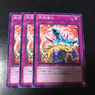 突然進化 ノーマル