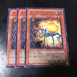 サクリファイス・スパイダー ノーマル