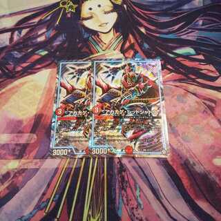 即日発送 アカカゲ・レッドシャドウ