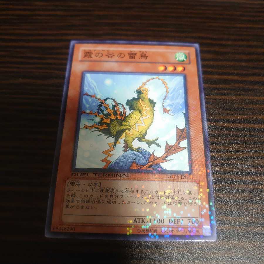 霞の谷の雷鳥　ノーマル　パラレル　DT01