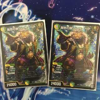 我怒の鎖 パンサーベア