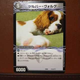 セット割引　シルバー・ヴォルグ｜撃墜王ガイアール・キラードラゴン(下)