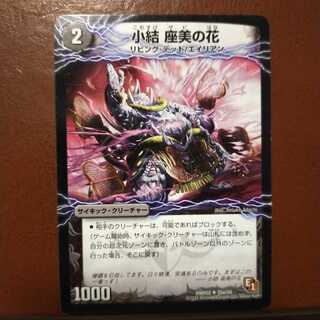 セット割引　小結 座美の花｜雲龍 ディス・イズ・大横綱(下)