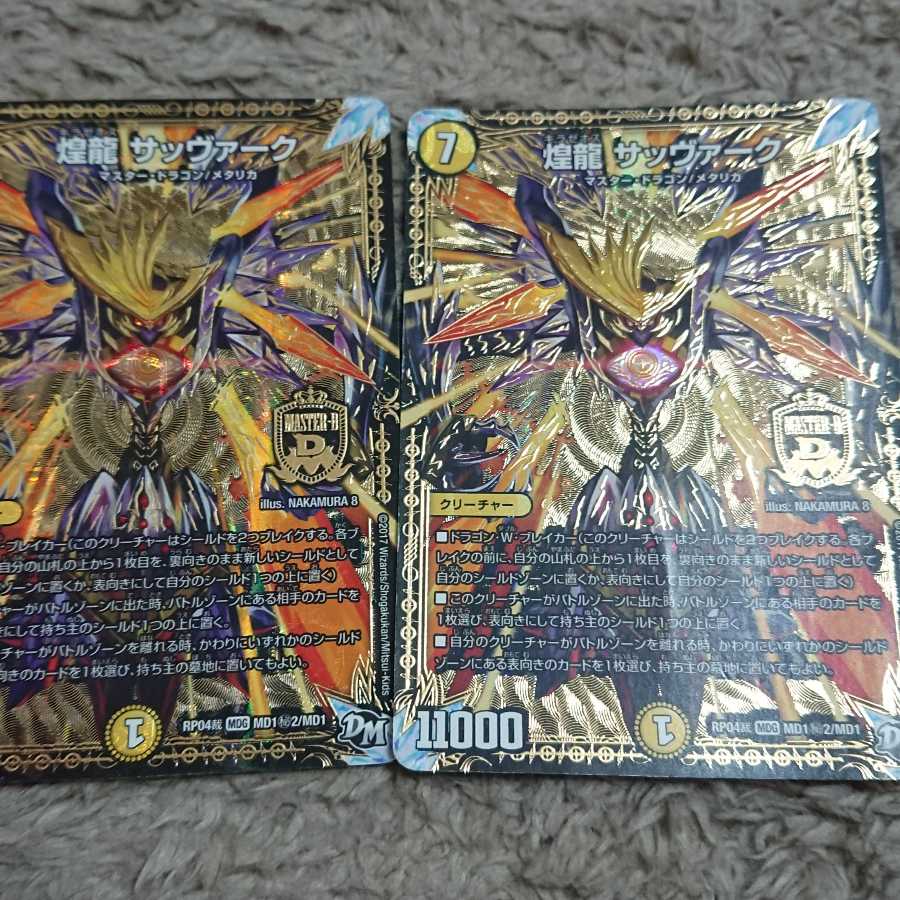 煌龍 サッヴァーク