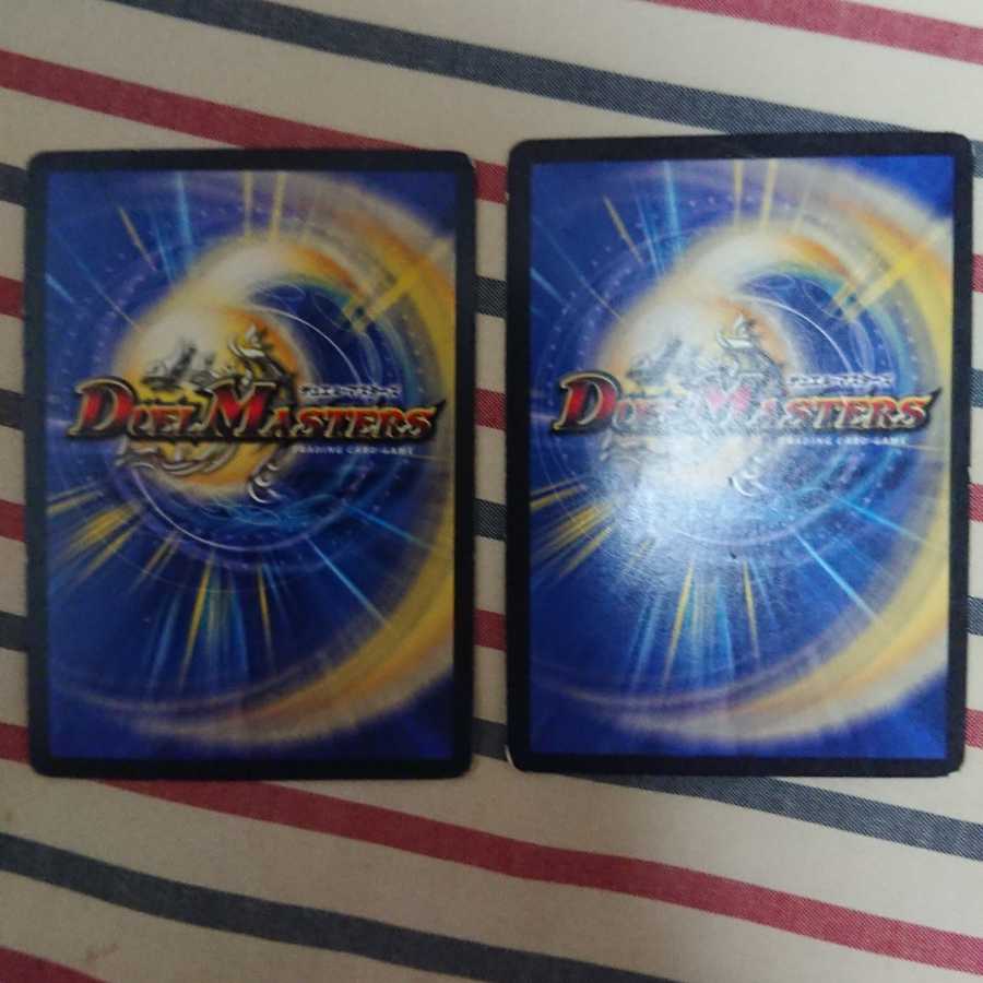 煌龍 サッヴァーク