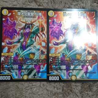 煌メク聖壁 灰瞳