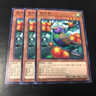 星向鳥 ノーマル