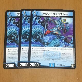 セット割引 アクア・ウォッチャー