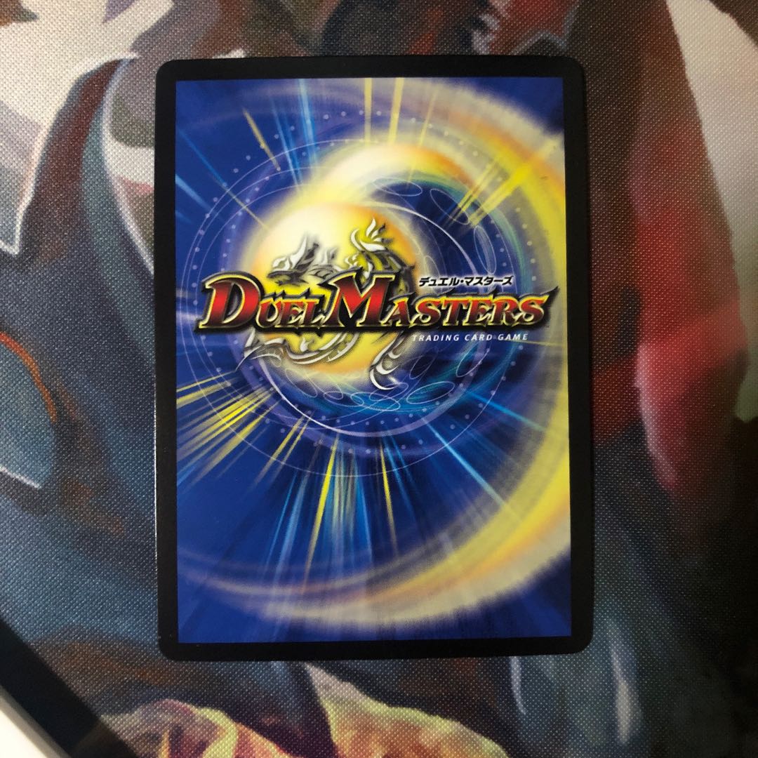 煌龍 サッヴァーク