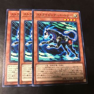 ストライピング・パートナー ノーマル