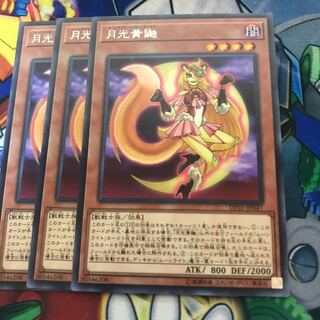 マドレース 月光黄鼬 レア