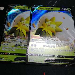 ワタシラガV RR 2枚