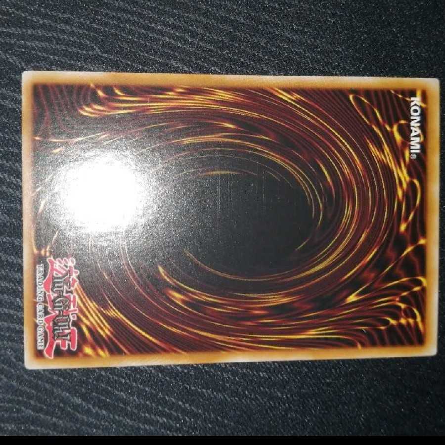 青眼の白龍　英語版