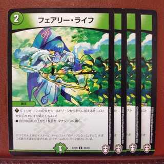 セット割引　フェアリー・ライフ