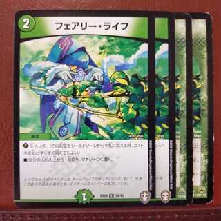 セット割引　フェアリー・ライフ