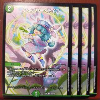 セット割引　フェアリー・ライフ