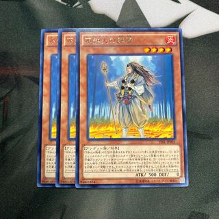 不知火の隠者 レア