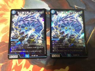 水上第九院 シャコガイル