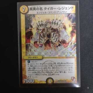 真実の名 タイガー・レジェンド