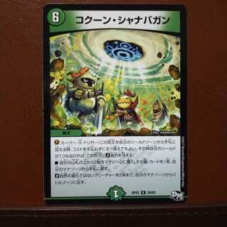 セット割引　コクーン・シャナバガン