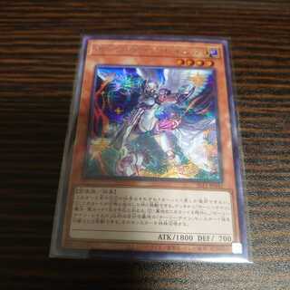 ホーリーナイツ・レイエル　シークレットレア　SELECTION 10