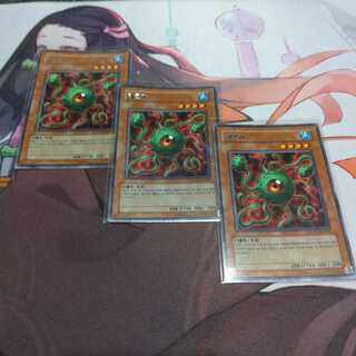 韓国　レクンガ　レア