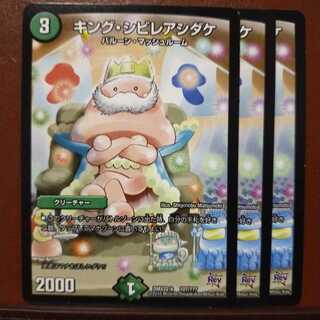 セット購入　キング・シビレアシダケ