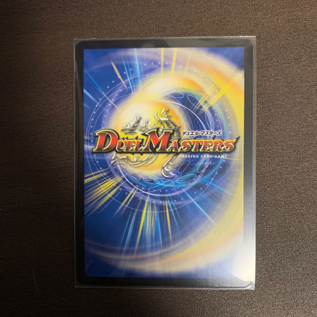 「雷光の聖騎士」