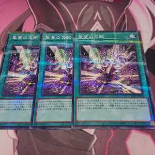 聖蔓の交配 ノーマルパラレル 3枚