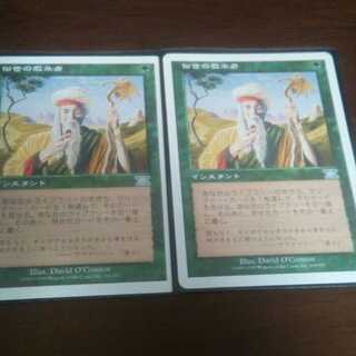 MTG  俗世の教示者