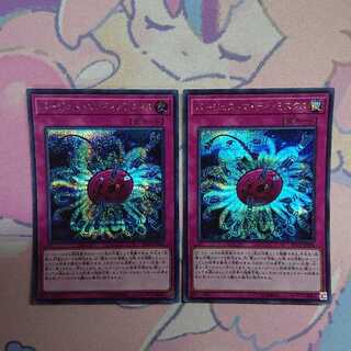 バージェストマ・ディノミスクス