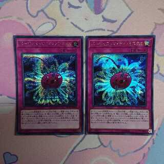 バージェストマ・ディノミスクス