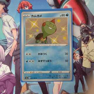 カムカメ 色違い