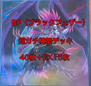 超ガチ構築　BF ブラックフェザー　デッキ　40枚＋EX15枚　シムーン　クリス 30枚