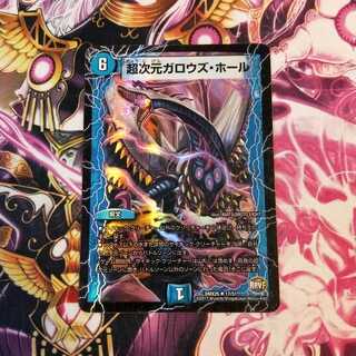 ローリアプロフィール必読！！様専用超次元ガロウズ・ホール