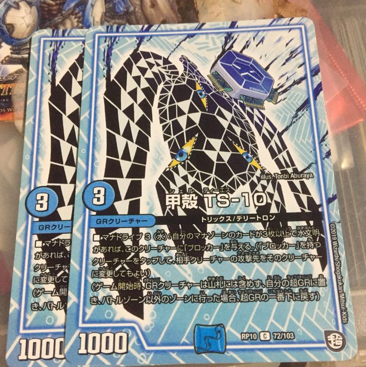 甲殻 TS-10 2枚セット