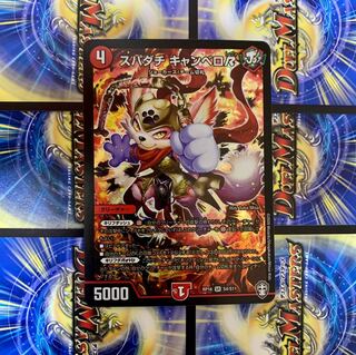 スパダチ キャンベロR 1枚