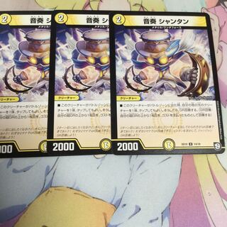 音奏 シャンタン 1枚