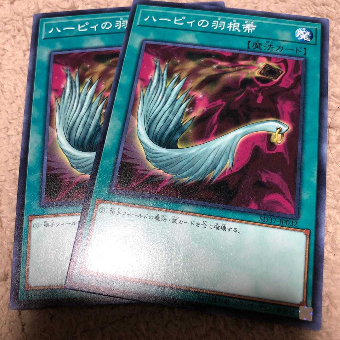 ハーピィの羽根帚 ノーマル