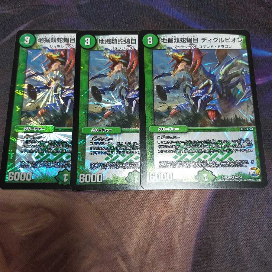 3 pieces of diglupion diglupion VR