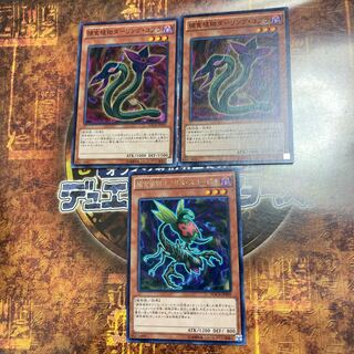 遊戯王★捕食植物オフリス・スコーピオ、ダーリング・コブラ★三枚セット★