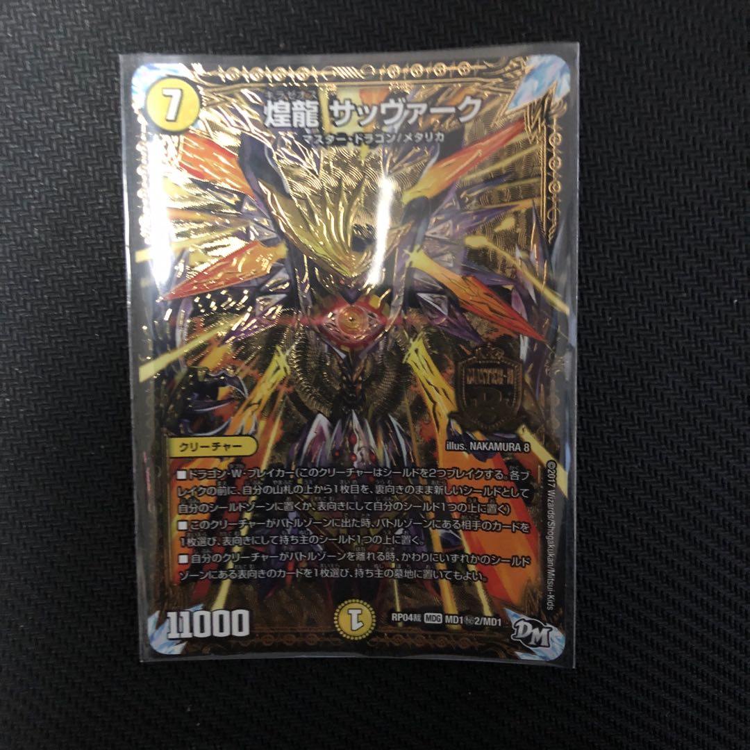 煌龍 サッヴァーク SE